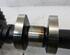 Camshaft MITSUBISHI Colt VI (Z2A, Z3A)