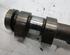 Camshaft FORD FIESTA VI (CB1, CCN)