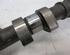 Camshaft FORD FIESTA VI (CB1, CCN)