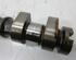 Camshaft FORD FIESTA VI (CB1, CCN)