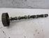 Camshaft FORD FIESTA VI (CB1, CCN)