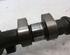 Camshaft FORD FIESTA VI (CB1, CCN)