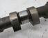 Camshaft FORD FIESTA VI (CB1, CCN)