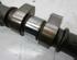 Camshaft FORD FIESTA VI (CB1, CCN)