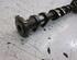 Camshaft SMART FORFOUR (454)