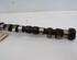 Camshaft VOLVO V50 (545)