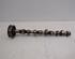 Camshaft FORD MONDEO IV (BA7)