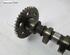 Camshaft VOLVO V50 (545)