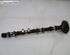 Camshaft VOLVO V50 (545)