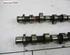 Camshaft NISSAN X-TRAIL I (T30)