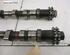 Camshaft NISSAN X-TRAIL I (T30)