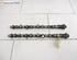 Camshaft NISSAN X-TRAIL I (T30)