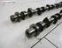 Camshaft NISSAN X-TRAIL I (T30)