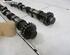 Camshaft NISSAN X-TRAIL I (T30)