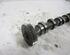 Camshaft AUDI A6 (4F2, C6)