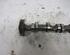 Camshaft AUDI A6 (4F2, C6)