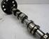 Camshaft MITSUBISHI GRANDIS (NA_W)