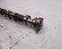 Camshaft BMW X5 (E70)