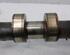 Camshaft BMW 7 (E65, E66, E67)