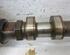 Camshaft BMW 7 (E65, E66, E67)