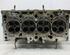 Cylinder Head SEAT LEON (1P1)