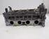 Cylinder Head NISSAN QASHQAI / QASHQAI +2 I (J10, NJ10, JJ10E)