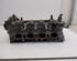 Cylinder Head NISSAN QASHQAI / QASHQAI +2 I (J10, NJ10, JJ10E)