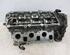 Cylinder Head AUDI A6 Avant (4F5, C6)