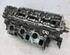 Cylinder Head AUDI A6 Avant (4F5, C6)