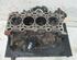 Engine Block RENAULT Laguna III Grandtour (KT0/1)