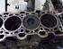 Motorblock M57256D2 /TU Kurbelwelle Pleul Kolben BMW 5 TOURING (E61) 525D 130 KW