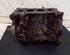 Engine Block FIAT DOBLO Cargo (263_)