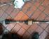 Drive Shaft OPEL Vivaro Kasten (F7)