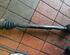 Drive Shaft VW Golf IV (1J1)