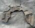 Brake Caliper Carrier AUDI A4 Avant (8E5, B6), AUDI A4 Avant (8ED, B7)