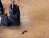 ABS Sensor OPEL Vectra C (--)