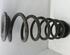 Coil Spring VW TIGUAN (5N_)