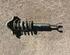 Suspension Strut VW Passat Variant (3B6)