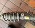 Suspension Strut MAZDA 2 (DY)