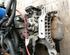 Manual Transmission FIAT PUNTO (199_)