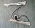 Window Lift RENAULT Clio III (BR0/1, CR0/1)