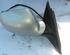 Wing (Door) Mirror VW Passat Variant (3B5)