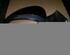 Wing (Door) Mirror ROVER 75 (RJ)