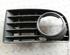 Ventilatiegrille bumper VW Golf V (1K1)