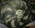 Radiator Electric Fan  Motor FIAT Grande Punto (199), FIAT Punto Evo (199)