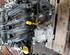 Motor kaal RENAULT Clio III (BR0/1, CR0/1)