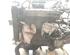 Motor kaal FIAT PUNTO (199_)