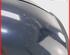 Wing (Door) Mirror MERCEDES-BENZ C-CLASS (W203)