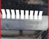 Radiator Grille VW Polo (9N)