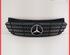 Radiator Grille MERCEDES-BENZ VITO Bus (W639)